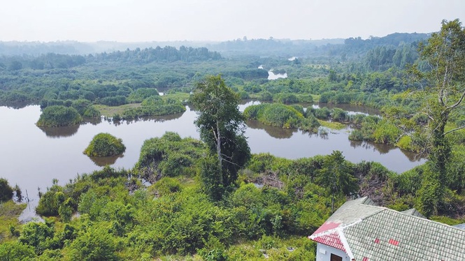 Image from: NRES sokong operasi penguatkuasaan Ramsar Tasik Bera
