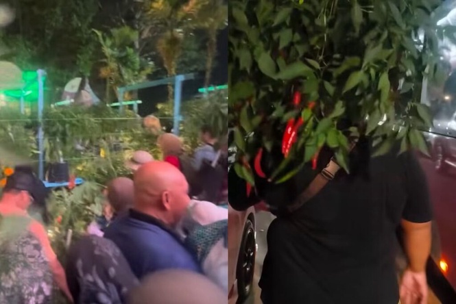 Image from: Pengunjung MAHA angkut pokok cili, terung selepas dapat ‘lampu hijau’