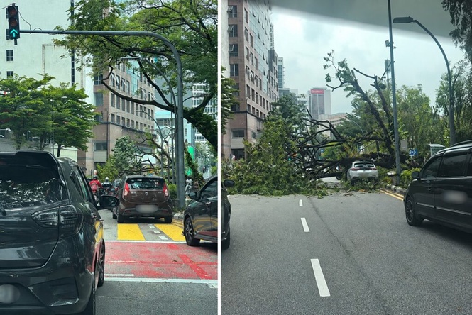 Image from: Jalan Ampang sesak, pokok tumbang hempap kereta
