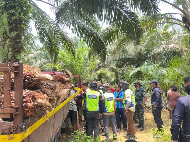 Image from: Dua lelaki ditahan bawa muatan sawit di Hutan Ramsar Tasik Bera
