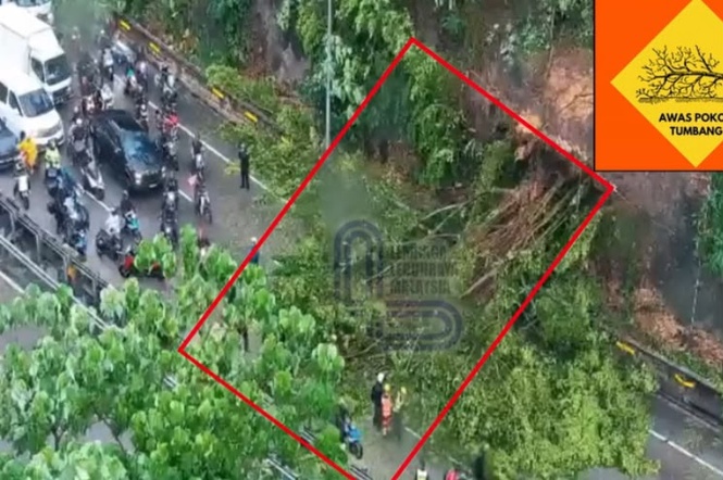Image from: Lagi pokok tumbang di NKVE, sesak 5km