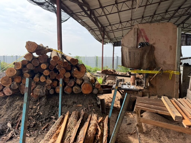 Image from: PGA rampas kayu tak bercukai RM338,300