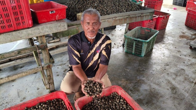 Image from: Kerang Lekir jadi punca rezeki Saidin