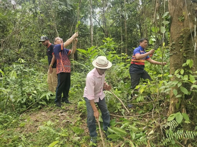 Image from: Tapak Kubu Mat Kilau bakal diwarta tapak warisan kebangsaan