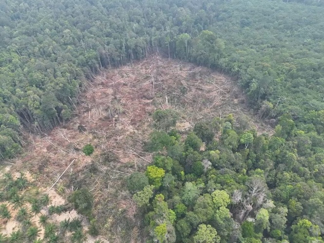 Image from: Siapa dalang utama musnahkan Ramsar Tasik Bera?