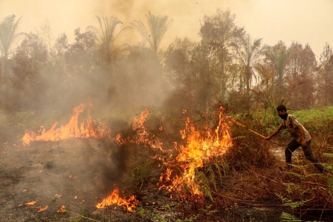 Image from: 4 lelaki terkorban ketika padam kebakaran hutan di Jawa