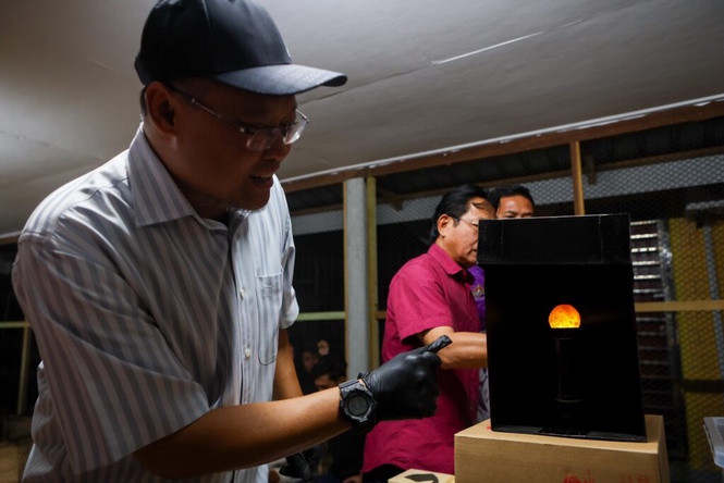 Image from: 44 telur sarang pertama penyu belimbing gagal menetas