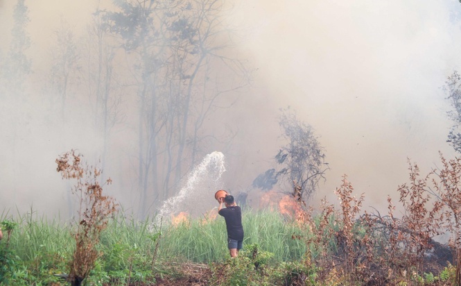 Image from: Dedah jika syarikat Malaysia terbabit jerebu