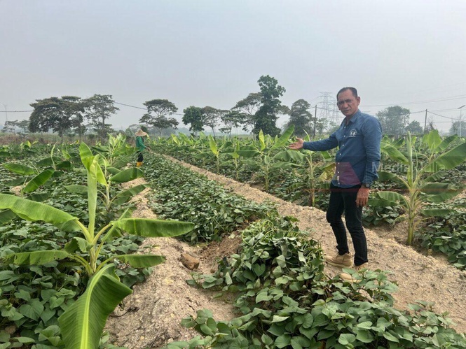 Image from: Joni pilih tanah, bukan kerusi pejabat