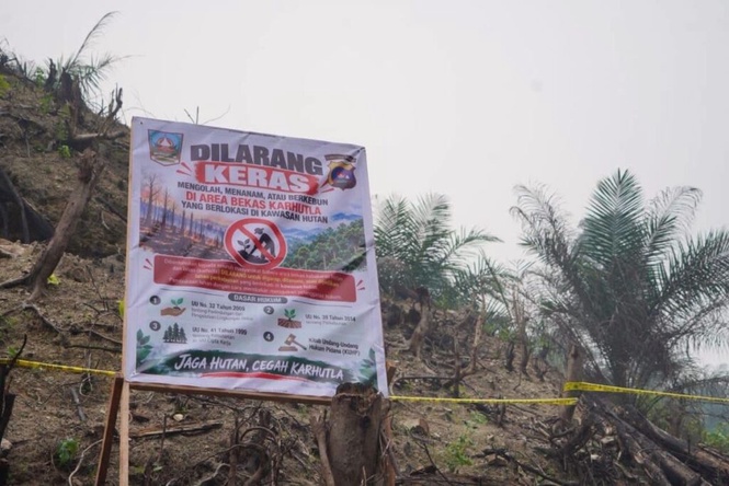 Image from: Polis siasat siapa tanam sawit di tanah bekas kebakaran hutan