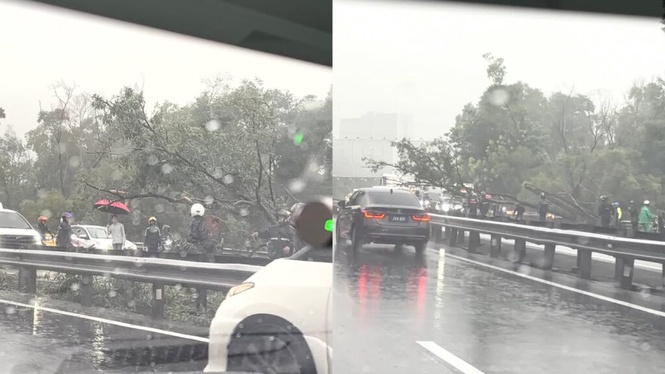 Image from: Trafik sesak, pokok tumbang di Lebuh Raya Elite