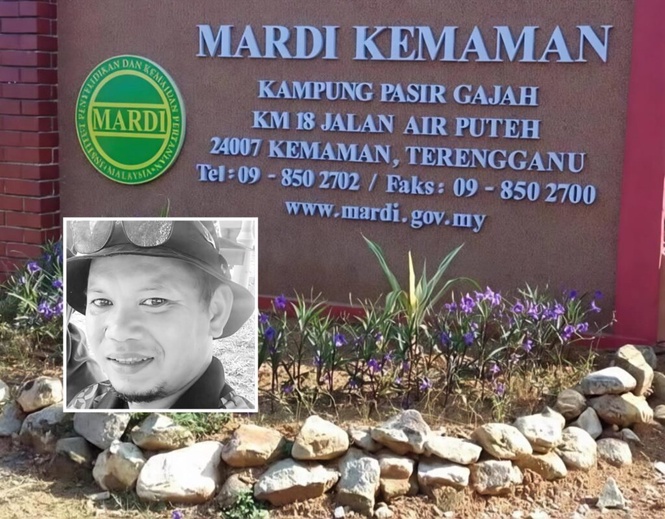 Image from: Kakitangan Mardi Kemaman maut disengat lebah