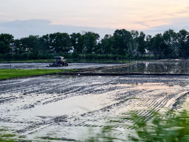 Image from: Air empangan susut, pesawah disaran guna air hujan