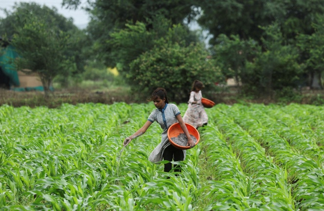 In India, El Nino threatens to bring higher food prices, rate hikes ...