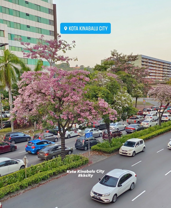 Malay Mail