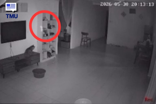 Image from: Keluarga Pulang Dari Cuti, Objek Misteri Berlegar Dalam CCTV Buat Pemilik Rumah Terkejut, Serangga Atau Entiti?