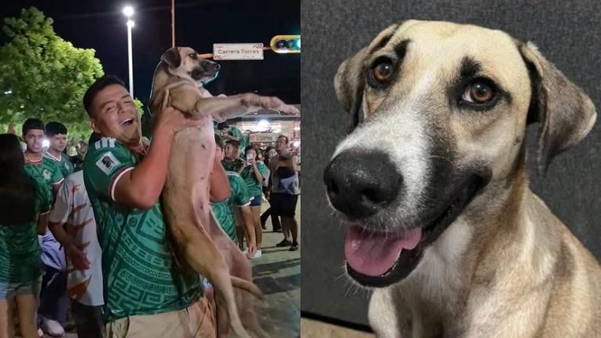 Image from: Sebulan Dicari, Anjing Kesayangan Akhirnya Ditemui Dalam Sambutan Kemenangan Mexico