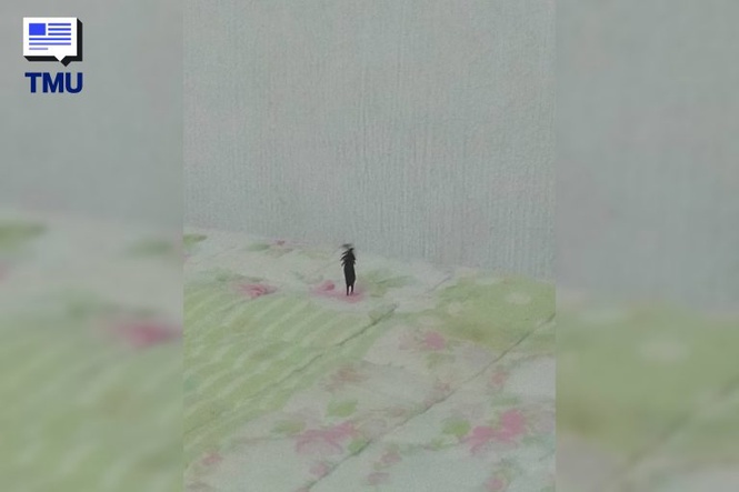 Image from: ‘Apa Benda Tu?’ Serangga ‘Menari’ Atas Katil Buat Netizen Geli, Ramai Samakan Dengan Plankton