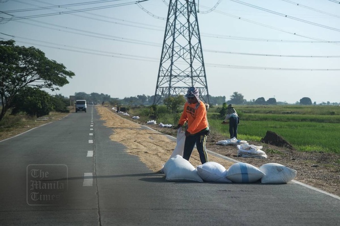 NFA hikes palay buying price to P30/kg