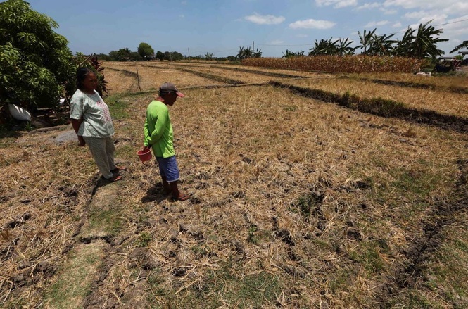 Govt ready for El Niño — Palace