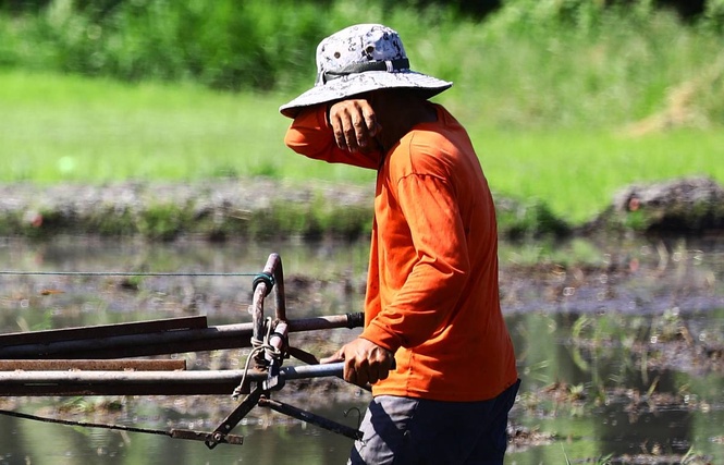 Warm, humid weather to persist — Pagasa
