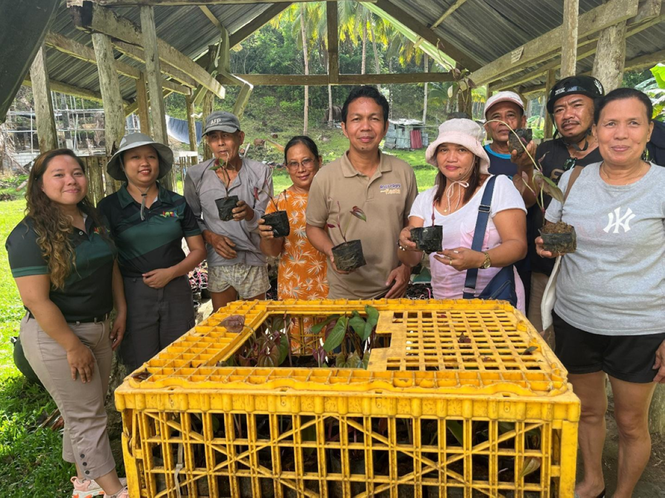 Ube production gets boost from center
