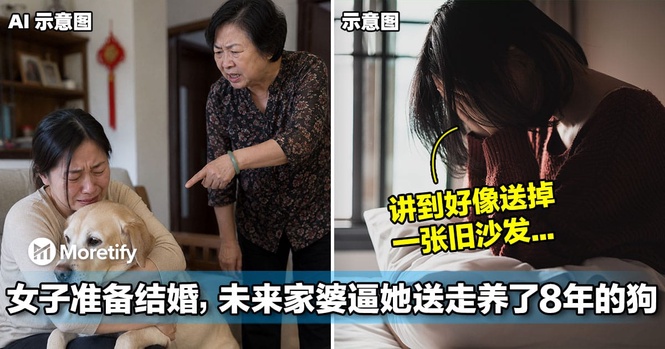 女子准备结婚,未来家婆逼她送走养了8年的狗,否则别结婚!