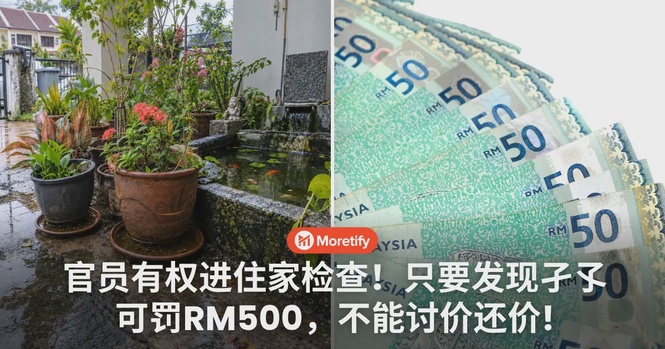 官员有权进住家检查!只要发现孑孓可罚RM500,不能讨价还价!