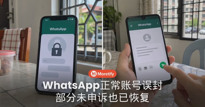 WhatsApp正常账号遭误封,部分未申诉也已恢复