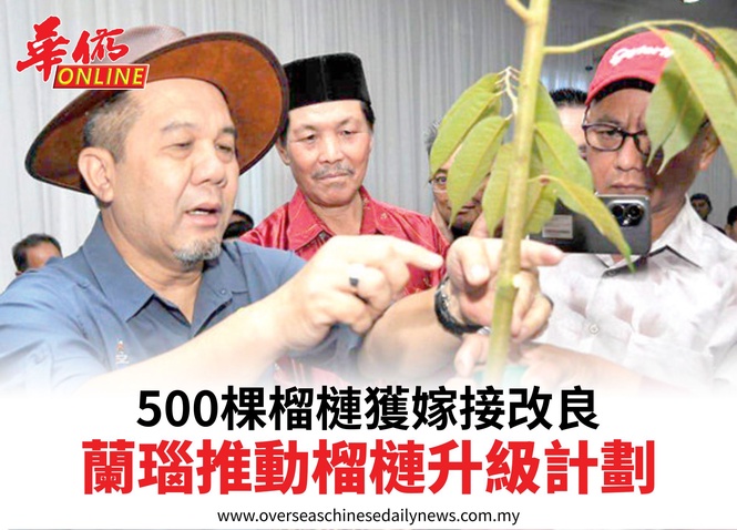 500棵榴槤獲嫁接改良蘭瑙推動榴槤升級計劃