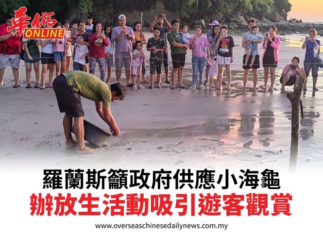羅蘭斯籲政府供應小海龜辦放生活動吸引遊客觀賞