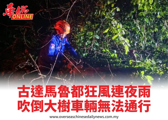 古達馬魯都狂風連夜雨吹倒大樹車輛無法通行