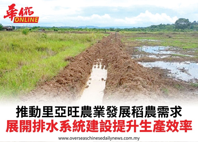 推動里亞旺農業發展稻農需求展開排水系統建設提升生產效率