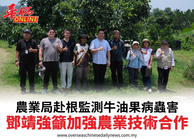 農業局赴根監測牛油果病蟲害鄧靖強籲加強農業技術合作
