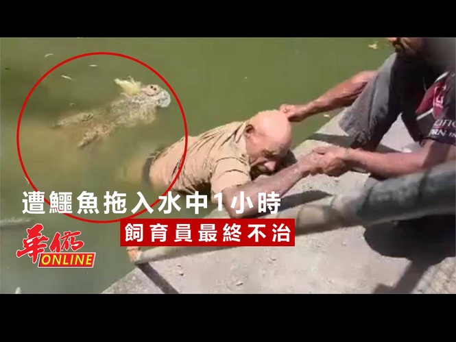 遭鱷魚拖入水中1小時 飼育員最終不治