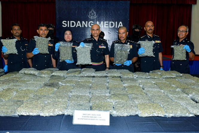 Image from: Police bust RM13.34m marijuana syndicate, seize 166kg of cannabis buds in KLIA, Sepang raids