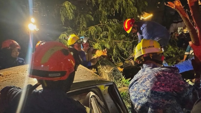 Image from: Lelaki maut dihempap pokok tumbang di Jalan Tun Razak