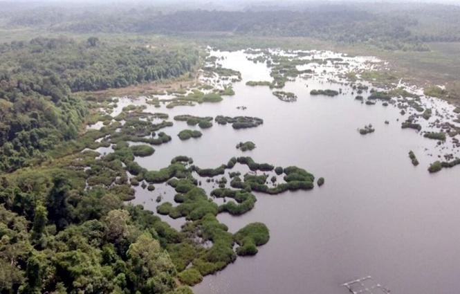 Image from: Isu Tasik Bera bukan sekadar soal tanah haram, tetapi maruah negara