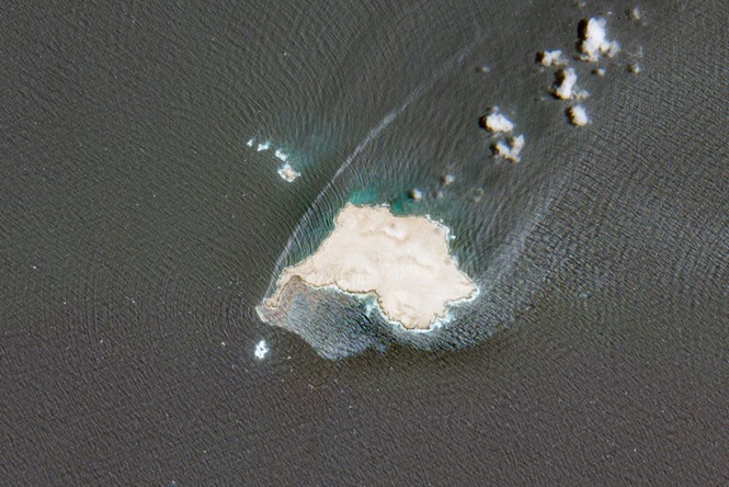 Image from: Tumpahan minyak di luar pantai Oman makin merebak, cetus bencana ekologi