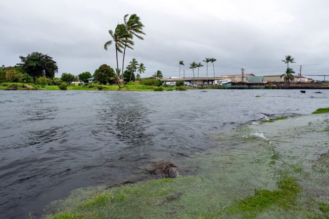 Image from: Hawaii siap siaga hadapi taufan pertama dalam 34 tahun