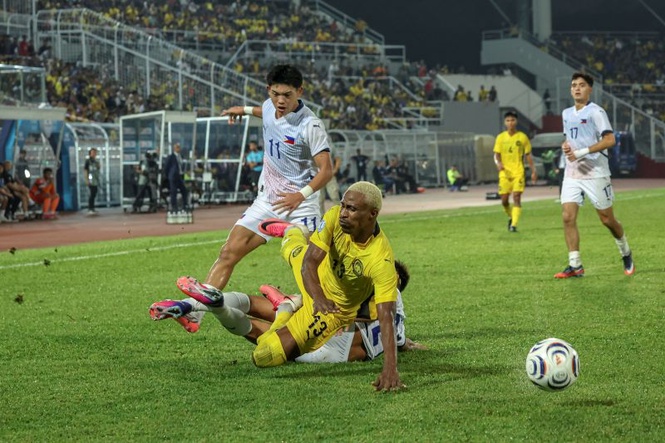 Image from: Harimau Malaya masih mampu mengaum