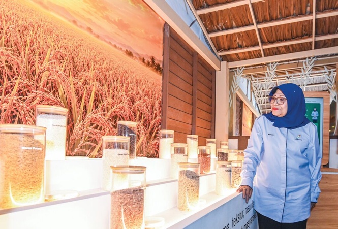 Image from: BERNAS kongsi kisah 32 tahun urus beras negara di MAHA 2026