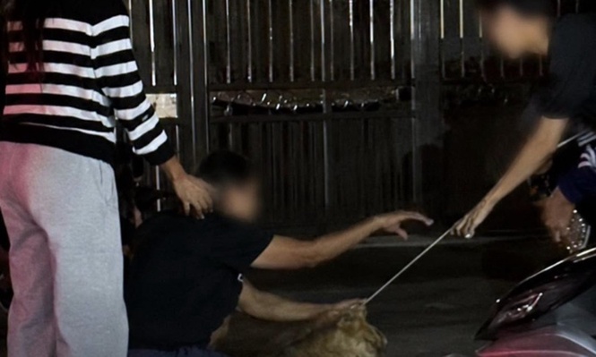 Dakwa bunuh anjing