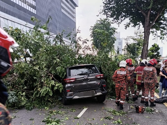 Image from: Tiga cedera kereta dihempap pokok tumbang