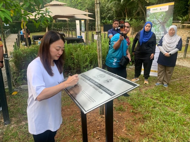 Image from: 200 sensor pantau kesihatan pokok di sekitar KL
