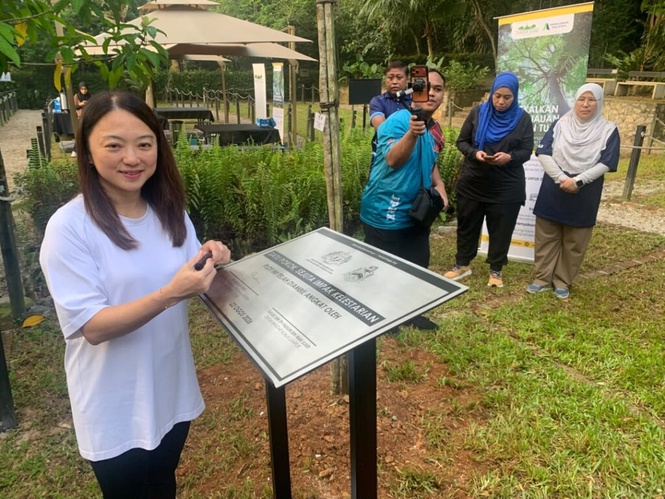 Image from: Usaha ambil kawasan hijau di KL untuk pembangunan perlu dielakkan