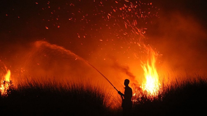 Image from: Jerebu: Indonesia ambil pelbagai langkah tangani kebakaran hutan