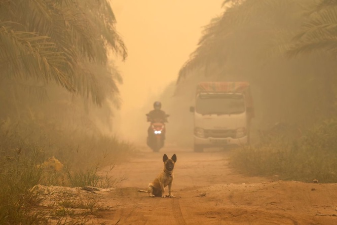 Image from: Jerebu Indonesia cemari udara Asia Tenggara