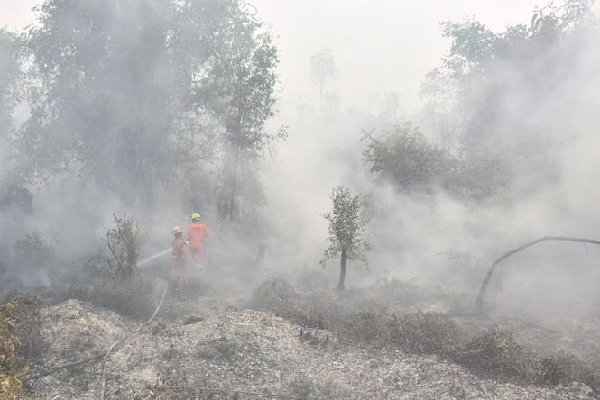 Image from: Lesen lima syarikat dibatal kerana kebakaran hutan di Kalimantan