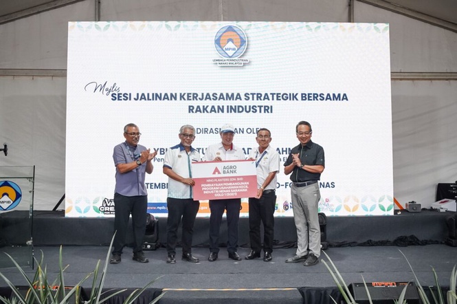 Image from: Agrobank salur pembiayaan pacu industri nanas SG1 Sarawak